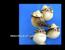PESCI PALLA 2-3" CON CAPPELLINO MINI