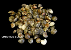 UMBONIUM BLACK