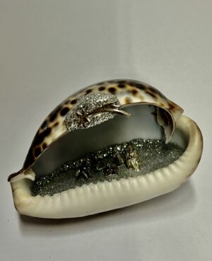 PRESEPE IN CONCHIGLIA CYPRAEA TIGRIS