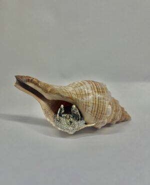 PRESEPE IN CONCHIGLIA MINI FASCIOLARIA TRAPEZIUM