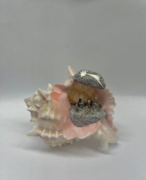 PRESEPE IN CONCHIGLIA MUREX BICOLOR