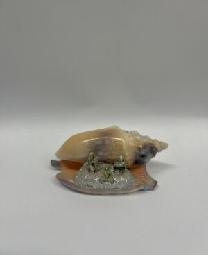 PRESEPE IN CONCHIGLIA MINI STROMBUS ARATRUM